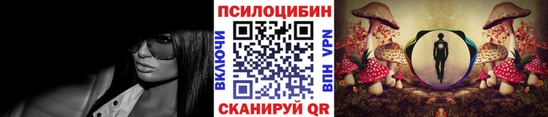 Псилоцибиновые грибы Psilocybine cubensis  Реутов 