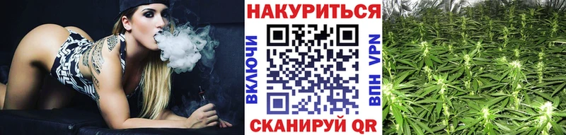 купить наркотики цена  Реутов  Каннабис планчик 